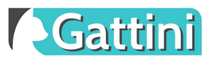 Gattini